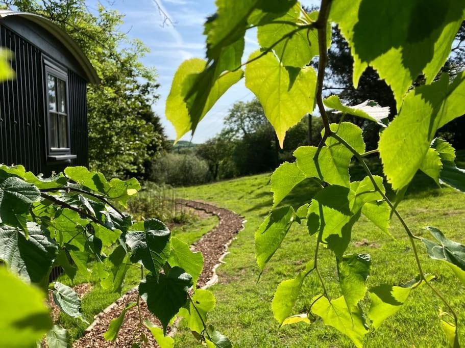 Cornwall Woodland Shepherd'S Hut Deirdres Hut Bodmin Exterior photo