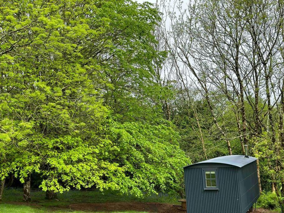Cornwall Woodland Shepherd'S Hut Deirdres Hut Bodmin Exterior photo